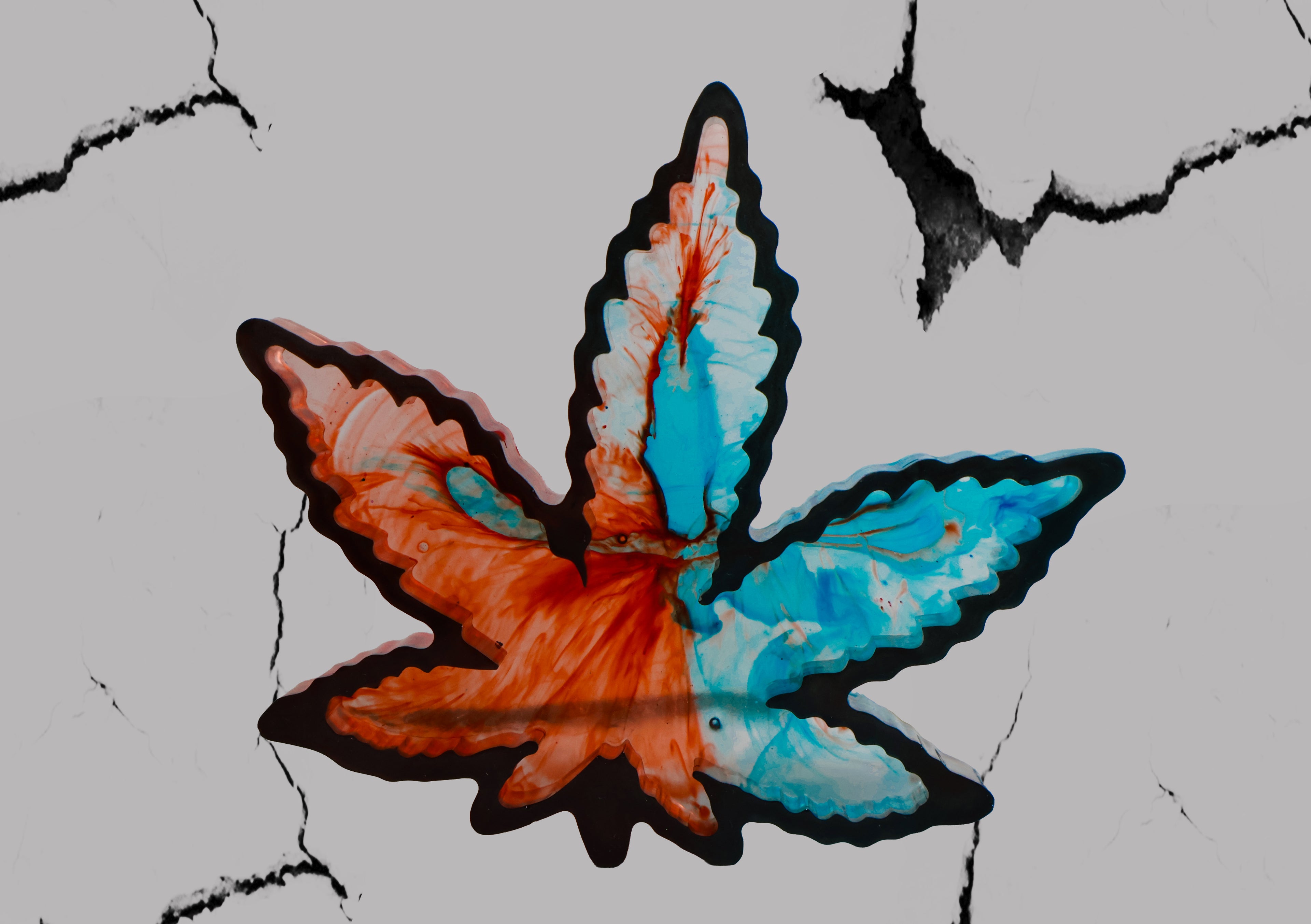 KIT BLUE FIRE 5 di 5